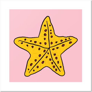 Starfish, Sea star. A cute, pretty sea star drawing. Posters and Art